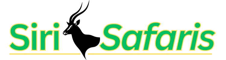 Experience Africa